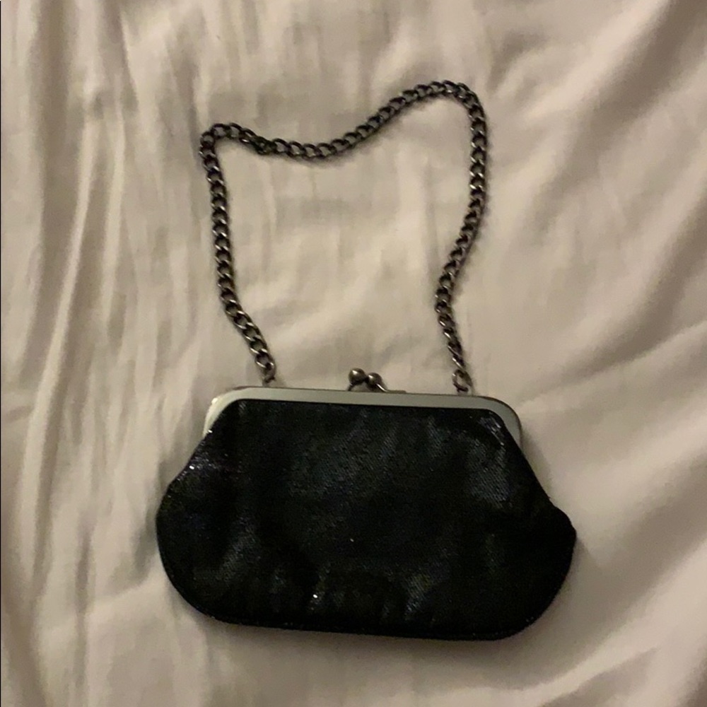 Purse/Clutch